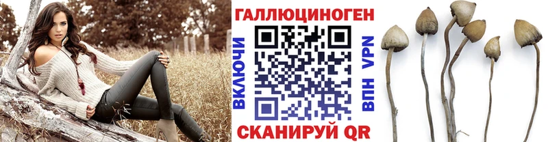 Псилоцибиновые грибы Magic Shrooms  Купить где  Лангепас 
